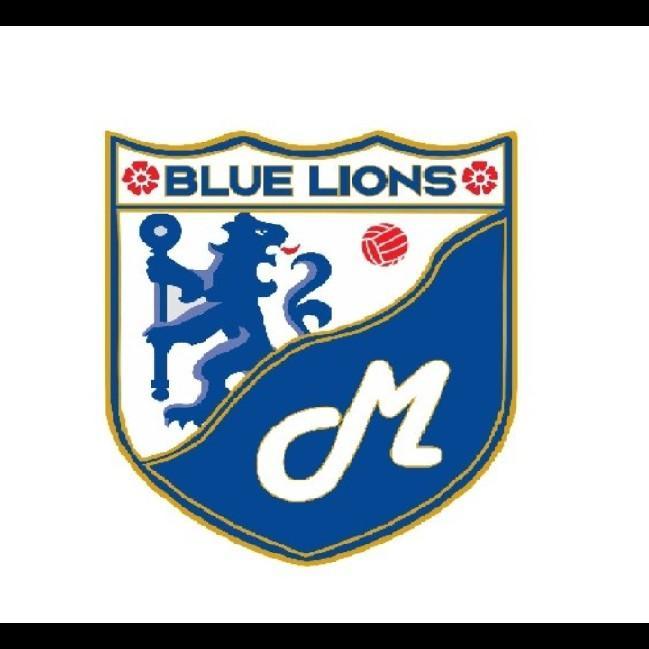 Blue Team