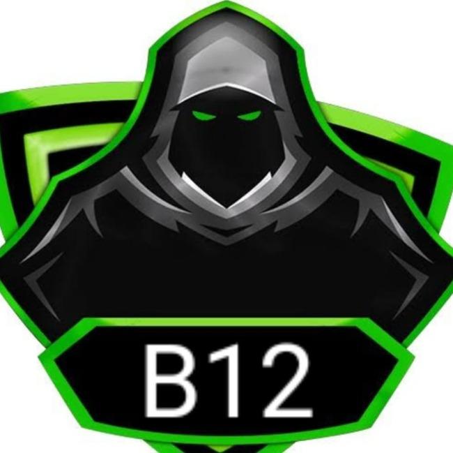 B12