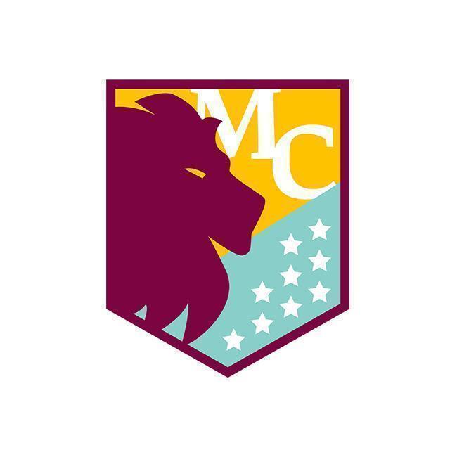 Aston villa