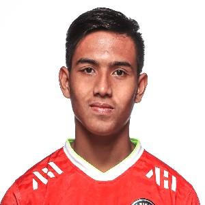 Indra Feri Fahroni