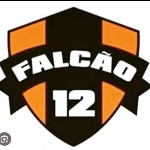 Falcão 12
