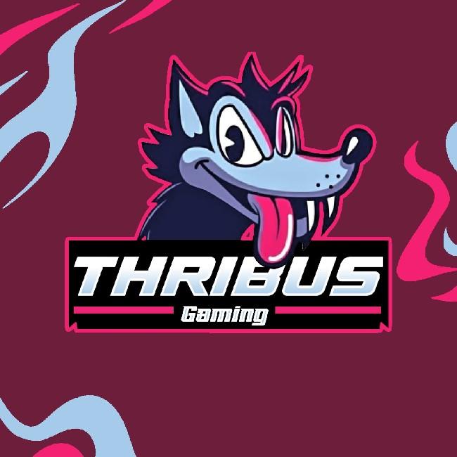 THRIBUS GAMING