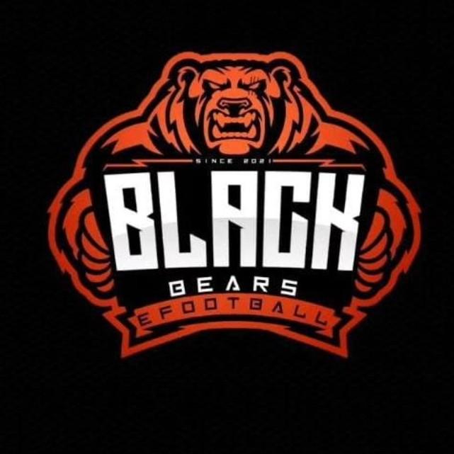 BLACK BEARS
