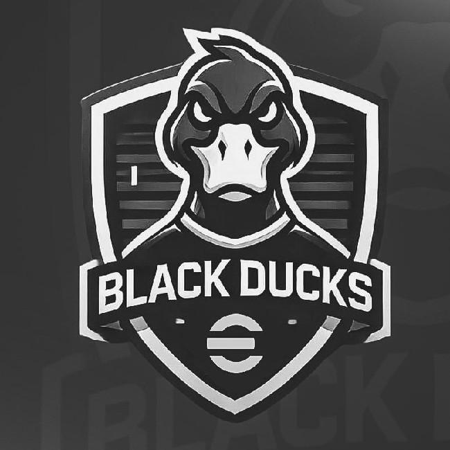 BLACK DUCKS