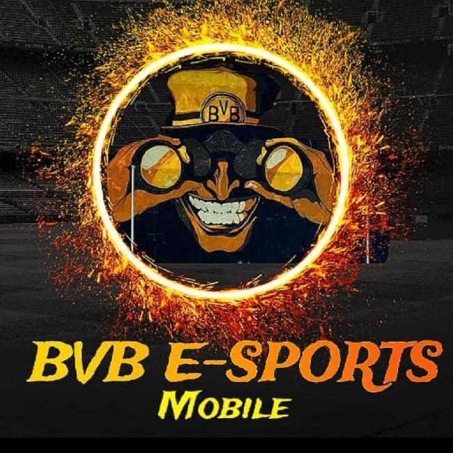BORUSSIA E-SPORTS