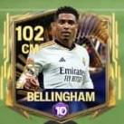 Bellingham