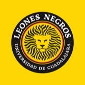 Leones Negros
