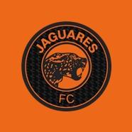 Jaguares