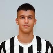 Mihajlo Ilic