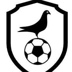 Pichones Juniors
