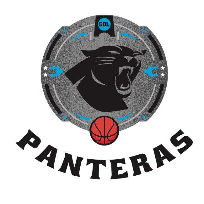 PANTHER GRIS