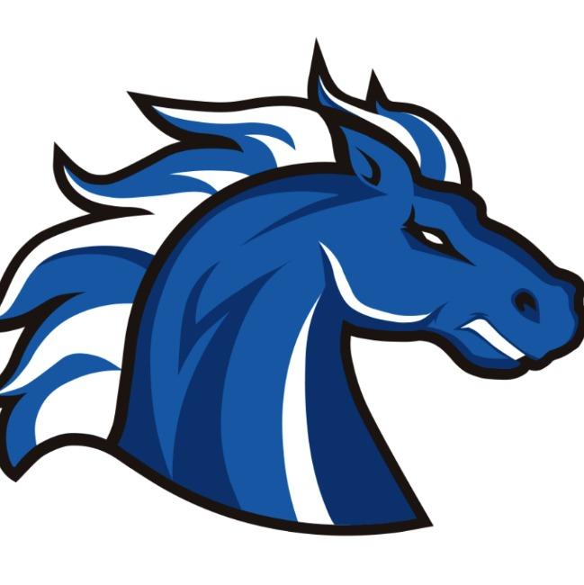 St. John's Stallions