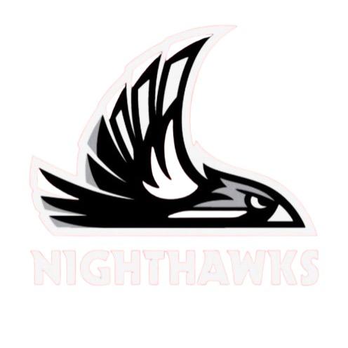 CHICAGO NIGHTHAWKS