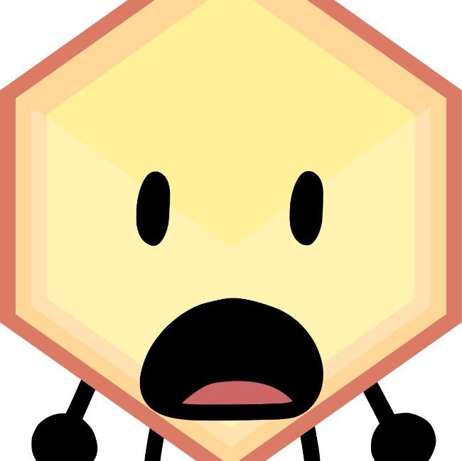 Loser