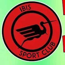 Íbis