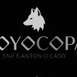 COYOCOPA 2