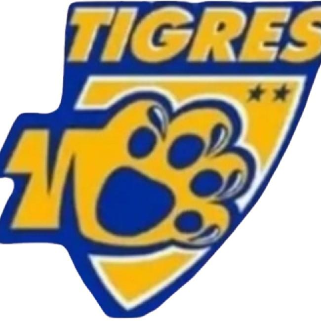 THE TIGERS FC