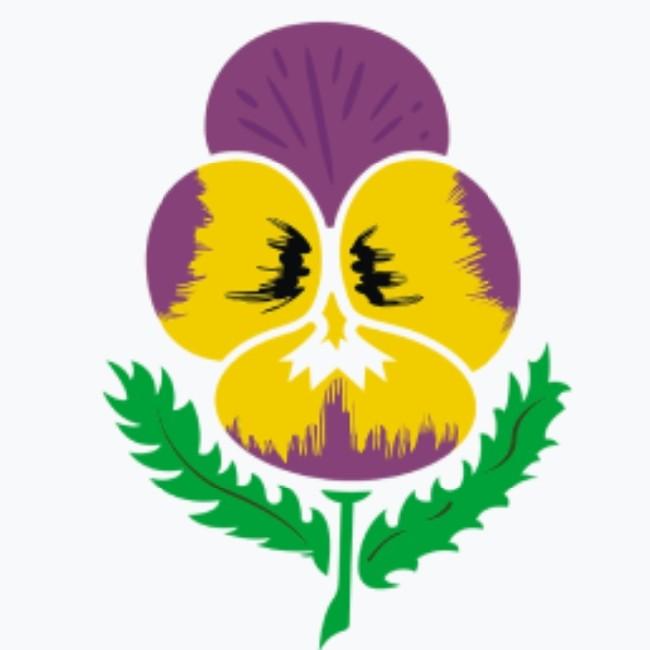 Dundee Violet JFC