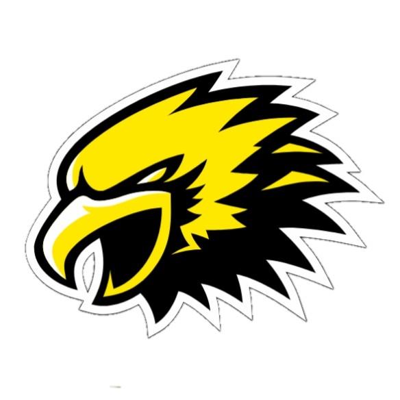 HAWKS