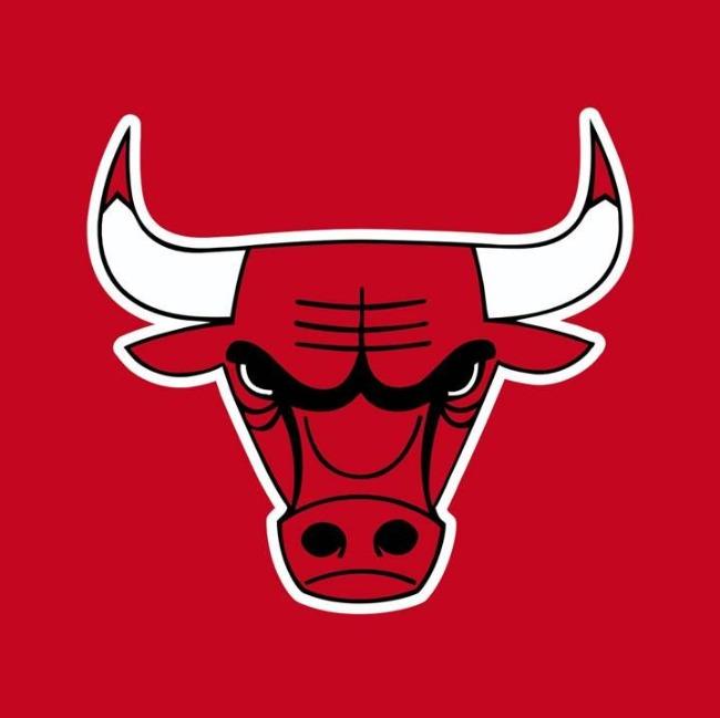 Chicago bulls