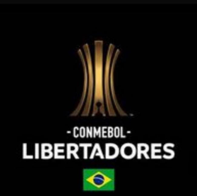 Libertadores da América 2024