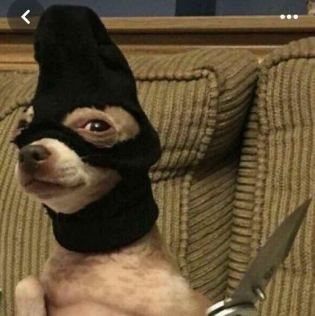 Everyday im shuffling