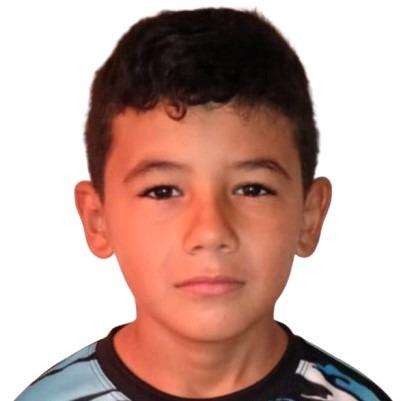 SANTIAGO DAVID TORRES BRICEÑO