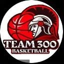 TEAM 300