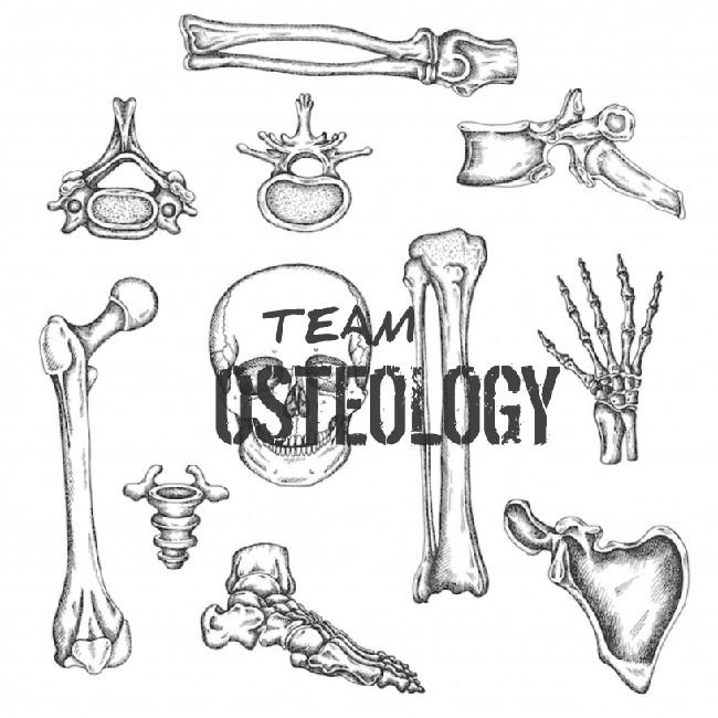 TEAM OSTEOLOGY