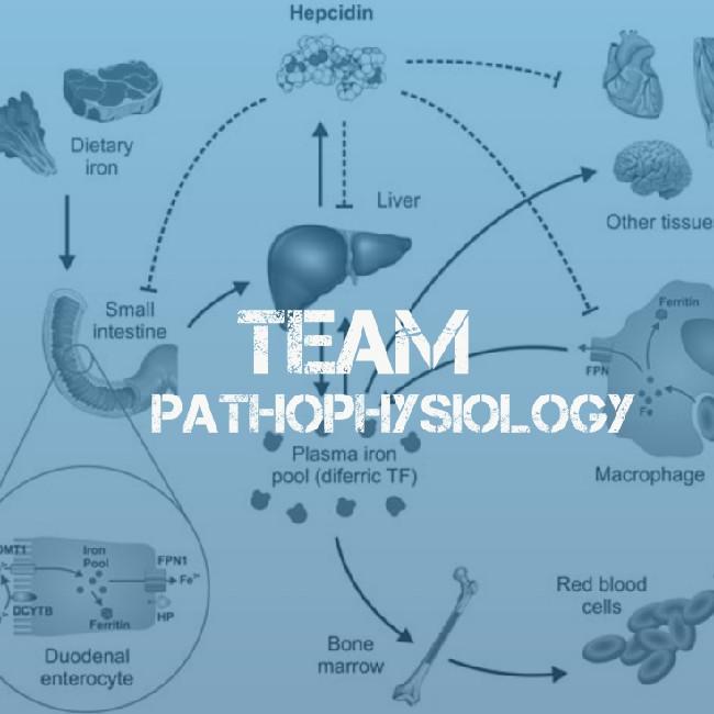 TEAM PATHOPHYSIOLOGY