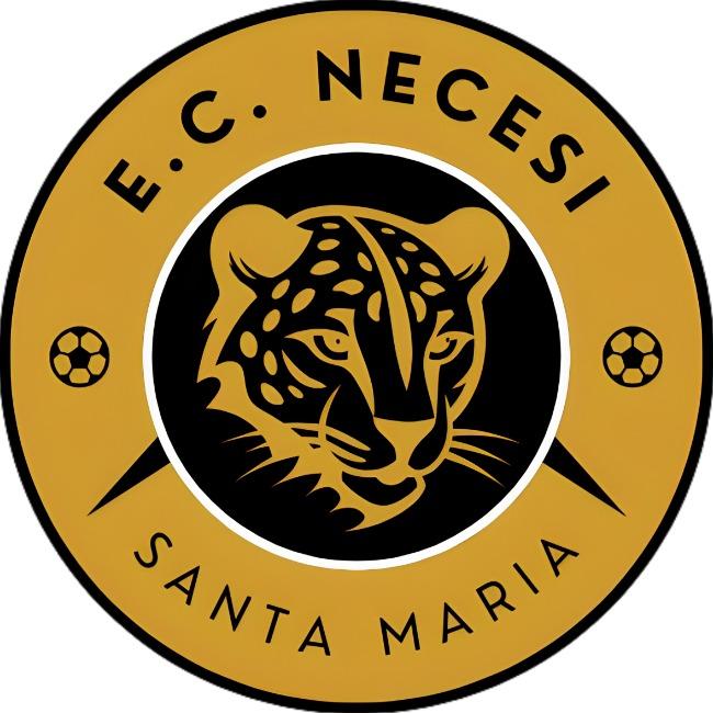 Necesi