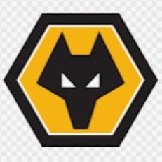 WOLVERHAMPTON - Fábio