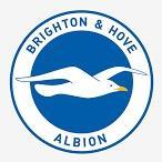 Brighton & Hove Albion White