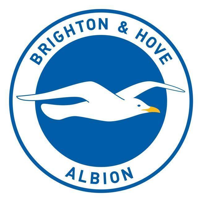 Brighton & Hove Albion Blue