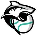 Miami Sharks