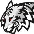 Toronto Tigers