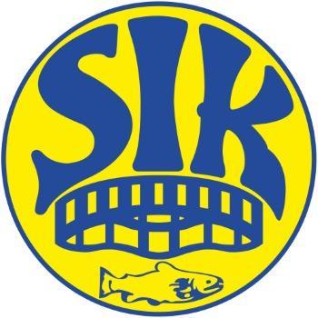 Skive IK