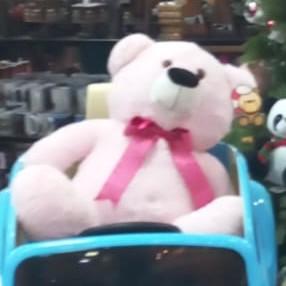 Ursinho Rosa