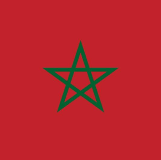 Chadi Riad
