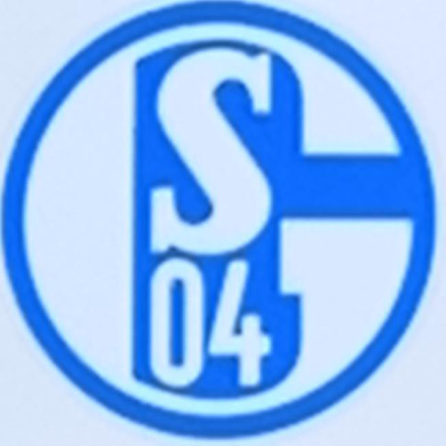 FC SCHALKE 04