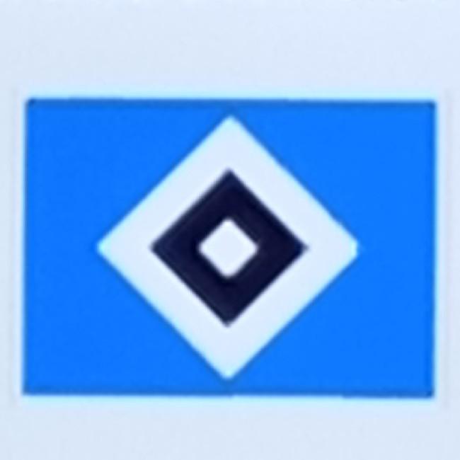 HAMBURGER SV
