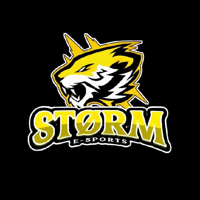 STORM E-SPORTS