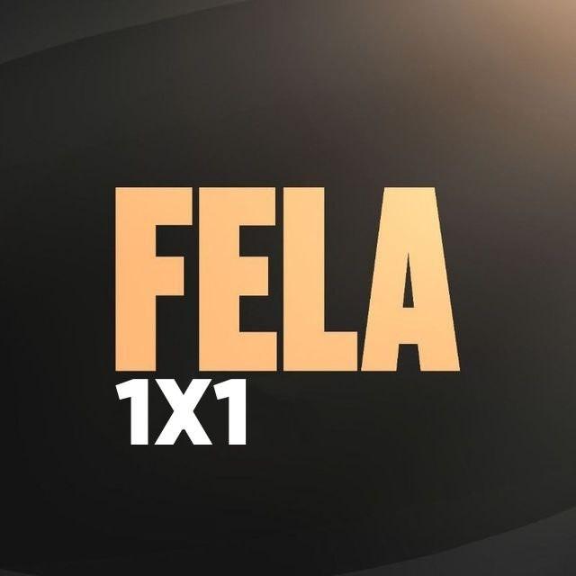 FELA 1x1