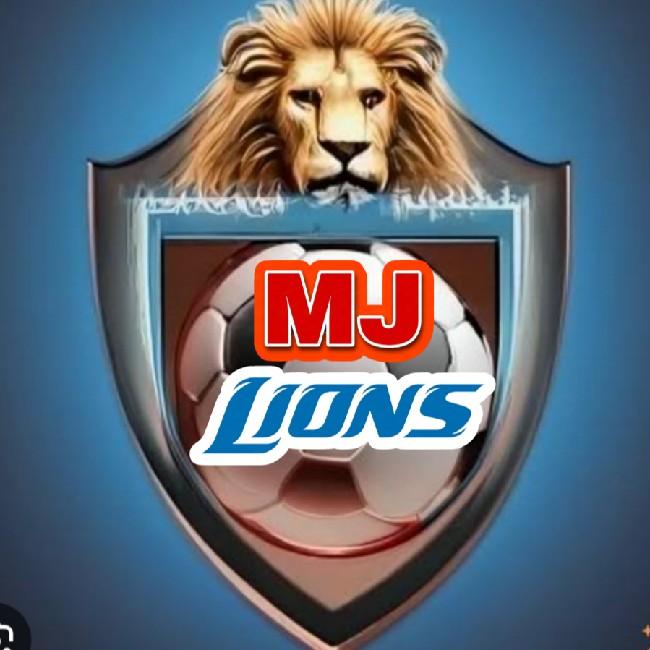 Mj Lions (Meraj🦁)