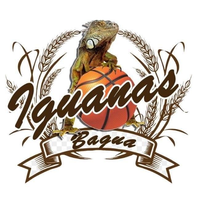 Iguanas