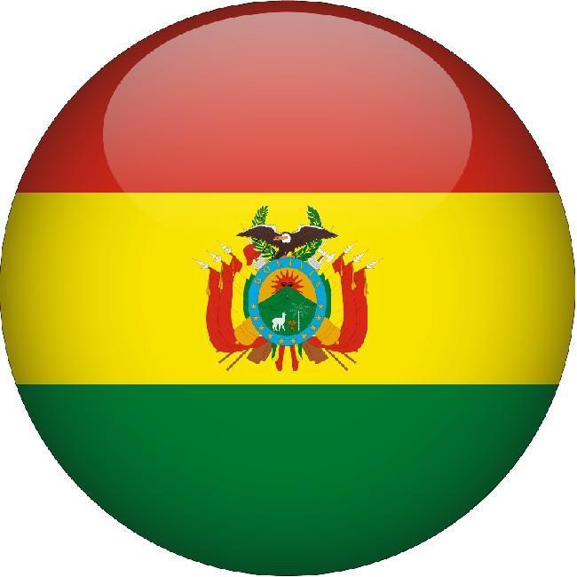 🇧🇴 Henrique Zeballos