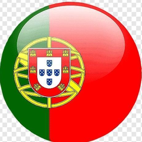 🇵🇹 Sonaldo Fake