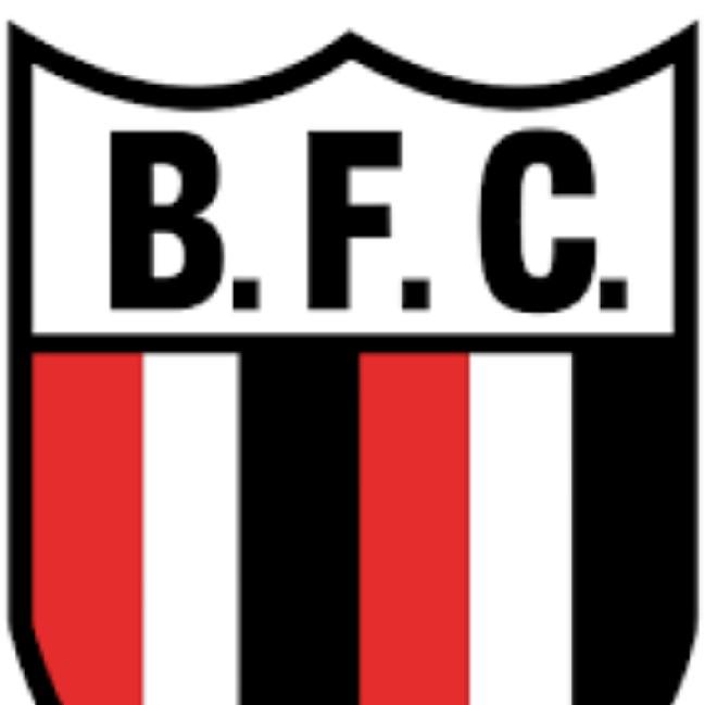Botafogo SP