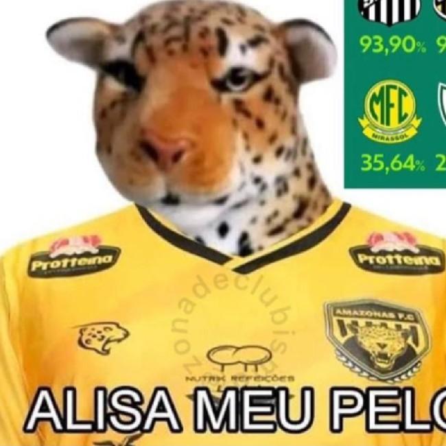 Alisa meu pelo