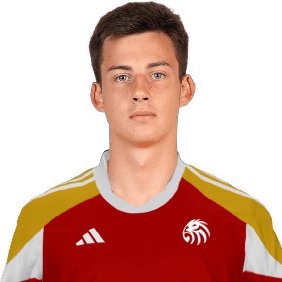 Александр Минаев